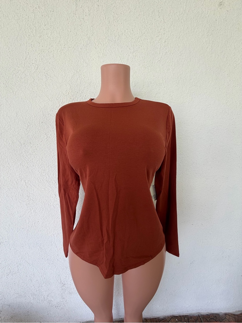 a.n.a Women's Long-Sleeve Crewneck Top in Rust